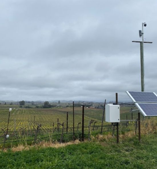 To the left are some of the Cisco vineyard sensors.  To the right is the solar unit powering Cisco's wireless signals from our visitor center 500 yards away.  At the top is a camera that will project Napa Valley shots to our website.