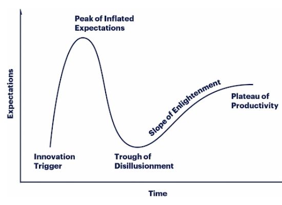 Introduction to the Gartner Hype Cycle