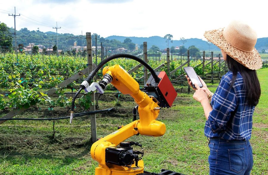 Photo for: 5 Wineries Using Cutting-Edge Technologies